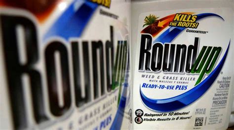 St. Louis man gets $1.25M in ruling over Bayer-Monsanto's 'Roundup'
